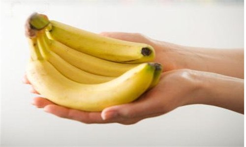 香蕉是木本植物对吗（香蕉是木本植物对不对）
