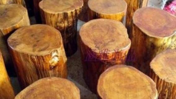 椎木是什么木 椎木是什么木材