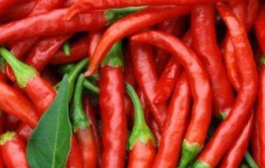 辣椒的营养价值及功效 水果辣椒的营养价值及功效