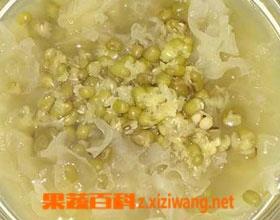 稻米绿豆粥的功效（粳米绿豆粥功效和作用）