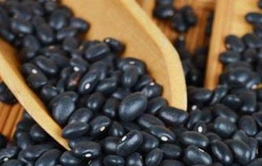 黑眉豆的功效与作用 黑眉豆的功效与作用及禁忌