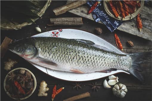 2021年养殖什么鱼最赚钱 2021年养殖什么鱼最赚钱呢