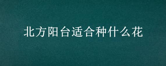 北方阳台适合种什么花（北方阳台适合种什么花草）