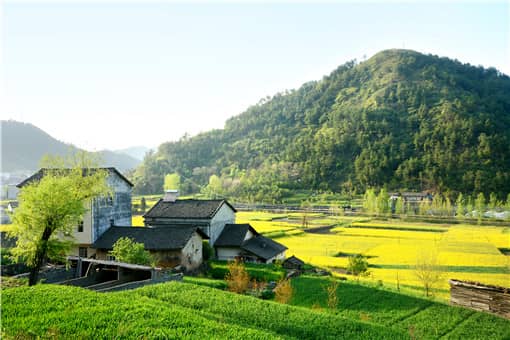 农民永久性退出耕地补偿标准是什么（农村退出耕地补偿）