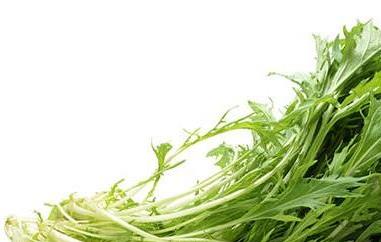 银丝菜的功效与作用 银丝菜的功效与作用禁忌
