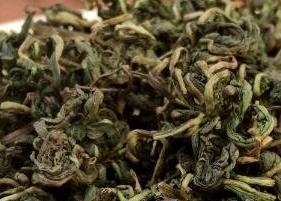 蒲公英茶的功效与作用及禁忌（新鲜蒲公英茶的功效与作用及禁忌）