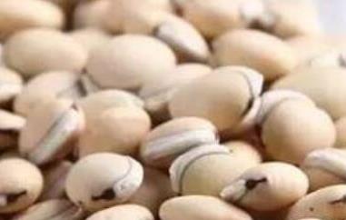 白扁豆的药用价值与功效 白扁豆的药用价值与功效是什么