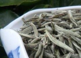 白毫银针茶的功效与作用