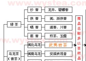 茶叶分类图（茶叶分类图标）