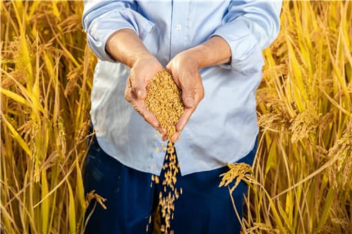 2021农民丰收节举办地点在哪