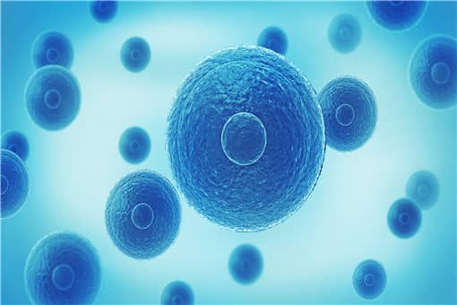 炭疽病是什么病