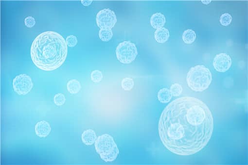 炭疽病是什么病