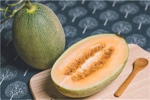 8月份水果当季有哪些—摄图网