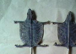 蛤蚧的功效与药用价值 蛤蚧的功效与药用价值图片