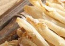 沙虫干的功效与作用(沙虫干的功效与作用及营养)