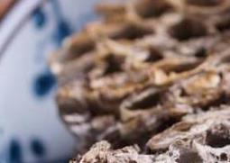 露蜂房如何泡酒（露蜂房泡酒外用攻效）