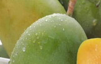 金煌芒和甜心芒哪个好吃 金煌芒和甜心芒哪个好吃