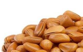 油松子的功效与作用(油松子的功效与作用及禁忌)