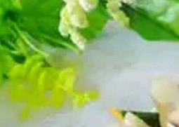 孔雀开屏鱼怎么切（孔雀开屏鱼怎么切视频）