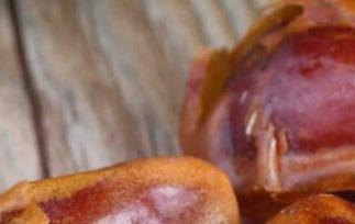 椰枣核怎么吃 椰枣核怎么吃?