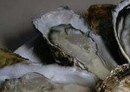 海蛎子怎么去壳 海蛎子怎么去壳视频