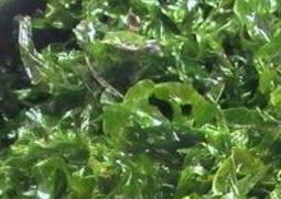 海带和海菜有什么区别（海带和海菜有什么区别呢）