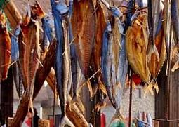 鱼干的功效与作用 剥皮鱼干的功效与作用