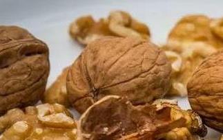 核桃壳的副作用有哪些（核桃壳的副作用有哪些呢）