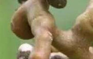 万寿果泡酒的功效与作用 万寿果泡酒的功效和作用万寿果图片