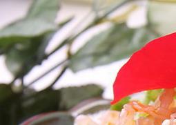 海蜇怎么去咸味 海蜇怎么去咸味最快