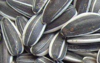 葵花籽的功效与作用及食用方法（葵花籽的功效与作用及食用方法_好）