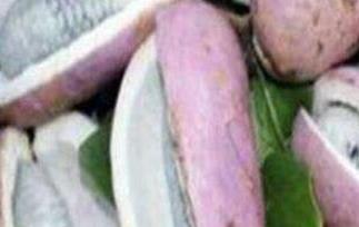 八月瓜皮泡酒的功效与作用及副作用 八月瓜果皮可以泡酒吗