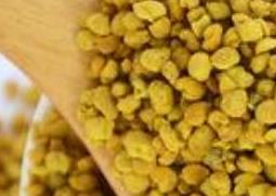 油菜蜂花粉的功效与作用（油菜蜂花粉的副作用）