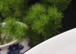 烧酸菜鱼用什么鱼 烧酸菜鱼用什么鱼烧