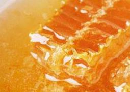 土蜂蜜的作用与功效 土蜂蜜的作用与功效与禁忌