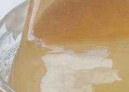 鹅掌柴蜜的功效与作用（鹅掌柴蜜的功效与作用及禁忌）