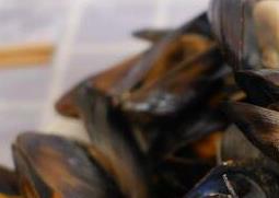 海虹怎么吃(海虹怎么吃好吃又简单)