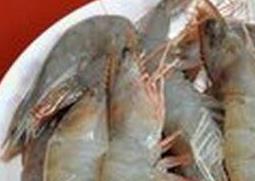 大虾和小虾营养价值一样吗（大虾和小虾的营养价值差别）