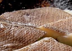 比目鱼的功效与作用 比目鱼的功效与作用癌症病人不能吃比目鱼吗