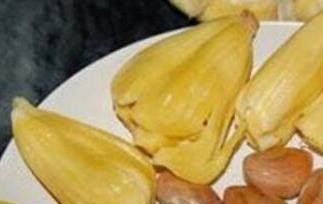 菠萝蜜的核能吃吗（菠萝蜜的核能吃吗?）