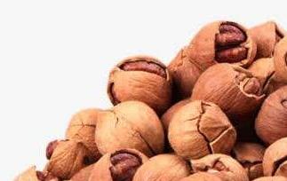 小山核桃的功效与作用（小山核桃的功效与作用是什么）