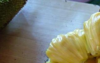 菠萝蜜怎么吃 菠萝蜜怎么吃视频