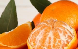 橘子和甜橙的区别（橘与橙的区别）