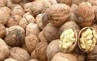 核桃硬壳的功效与作用（核桃硬壳的功效与作用是什么）