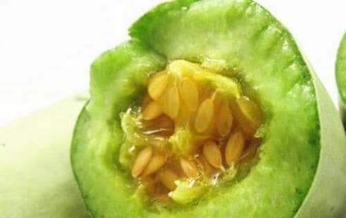 青酥瓜的功效与作用及食用方法方式 酥瓜营养成分