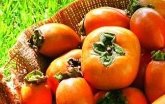 秋天吃柿子的好处有哪些 秋冬季节吃柿子有什么好处
