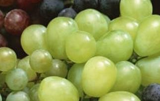 葡萄的食疗功效与用法 葡萄的食疗功效与用法禁忌