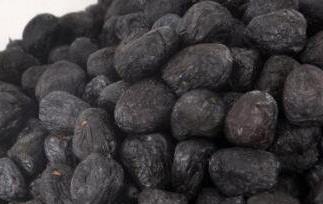 小黑枣的功效与作用(黑枣的功能与功效)