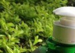 茶籽洗发水的功效与作用 茶籽洗发水的功效与作用