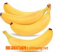 香蕉皮的功效与作用 晒干的香蕉皮的功效与作用